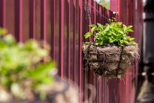 Hanging Herb Garden Ideas For Small Spaces